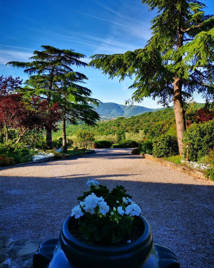Отель Borgo Solamore Кортона Экстерьер фото